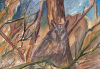 Owl in the forest